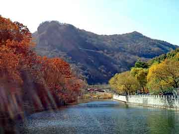 新澳天天开奖资料大全旅游团，修真小说完本